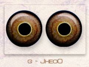 g - Jheo0